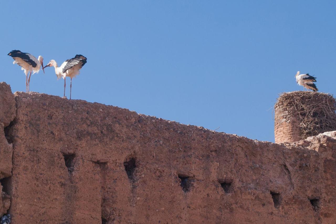 Riad Of The Storks - Exclusive Use For Up To 17 Persons Marrakesch Exterior foto